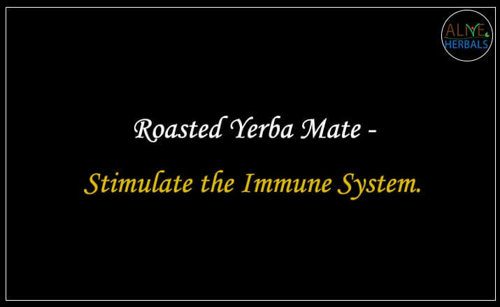 Roasted Yerba Mate - Buy from the Tea Store Near Me 