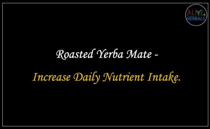 Roasted Yerba Mate - Buy from the Health Food Store
