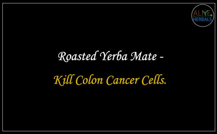 Roasted Yerba Mate - Buy from the Tea Store Brooklyn