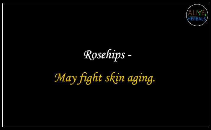 Rosehips - Buy from the online herbal store