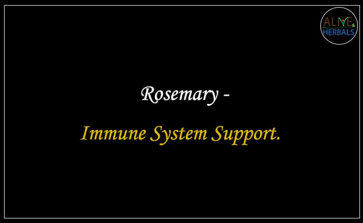 Rosemary - Buy from the online herbal store