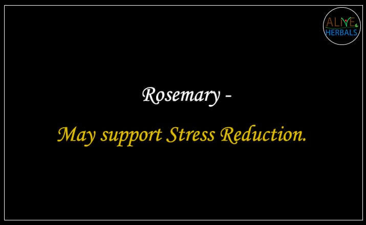 Rosemary - Buy from the natural herb store