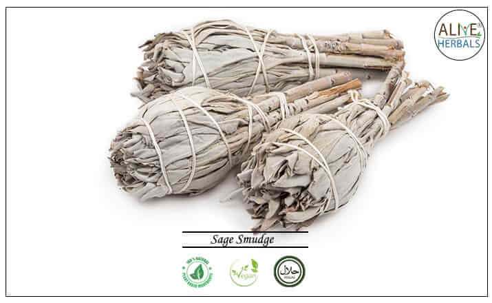 Sage Smudge - Buy from the health food store