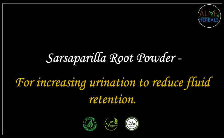 Sarsaparilla Root Powder - Buy from the natural health food store