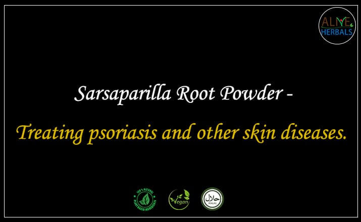 Sarsaparilla Root Powder - Buy from the natural herb store