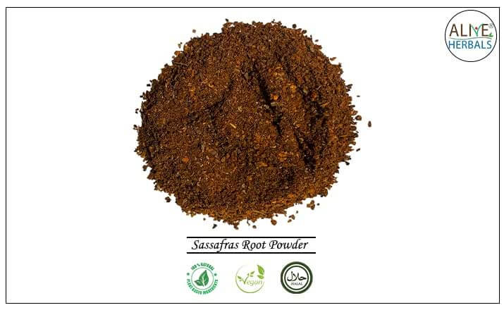 Sassafras Root Powder - Buy from the health food store