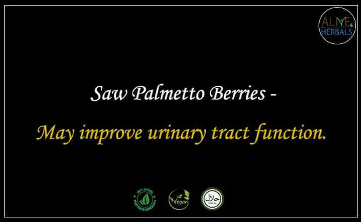 Saw Palmetto Berries - Buy from the online herbal store