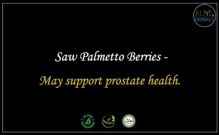 Saw Palmetto Berries - Buy from the natural health food store