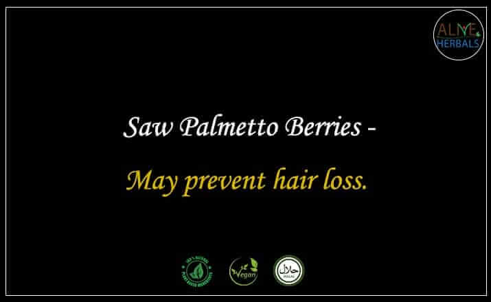 Saw Palmetto Berries - Buy from the natural herb store