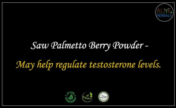 Saw Palmetto Berry Powder - Buy from the online herbal store