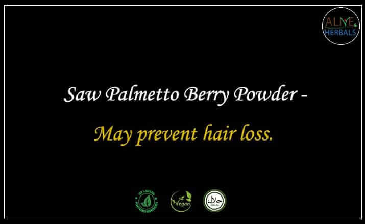 Saw Palmetto Berry Powder - Buy from the natural health food store