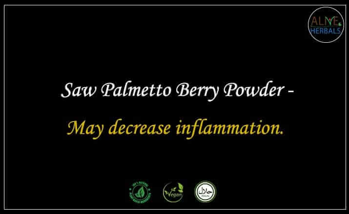 Saw Palmetto Berry Powder - Buy from the natural herb store