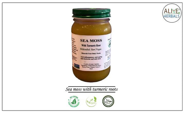 Buy Sea Moss Pills for Weight Loss, Free Shipping