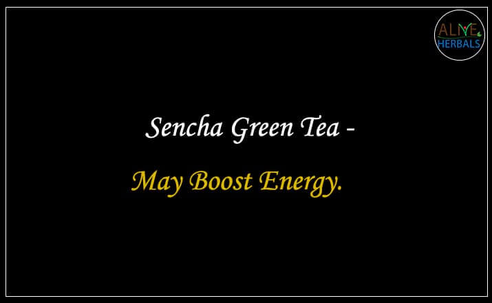 Sencha Green Tea - Buy from the Tea Store Near Me 