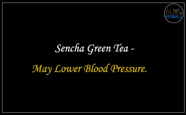 Sencha Green Tea - Buy from the Health Food Store