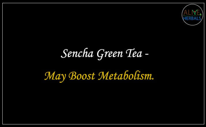 Sencha Green Tea - Buy from the Tea Store Brooklyn