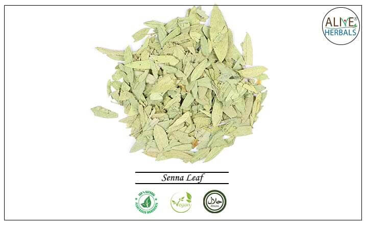 Senna Leaf - Buy from the health food store