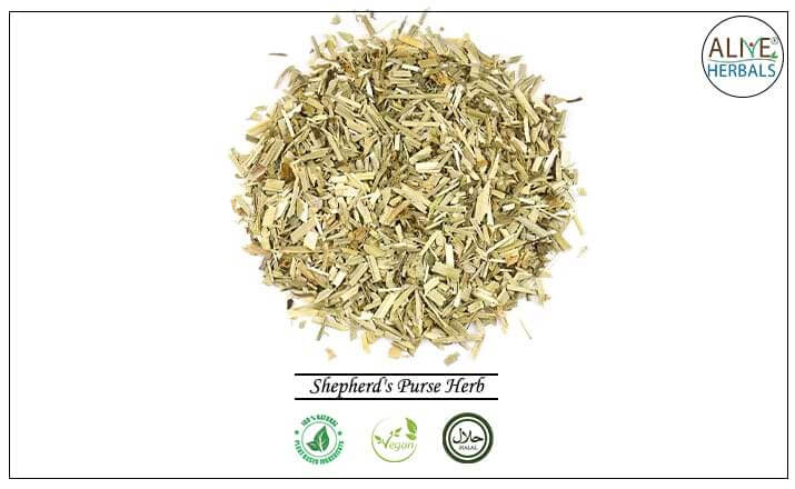 Shepherd&#39;s Purse Herb - Buy from the health food store