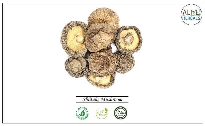 Shiitake Mushroom - Buy from the health food store