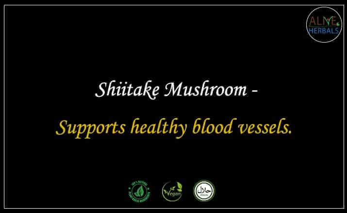 Shiitake Mushroom - Buy from the natural health food store