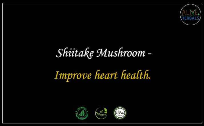 Shiitake Mushroom - Buy from the natural herb store