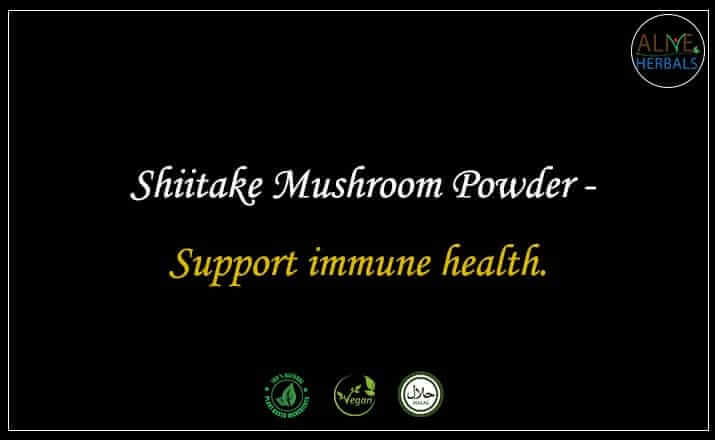 Shiitake Mushroom Powder - Buy from the online herbal store