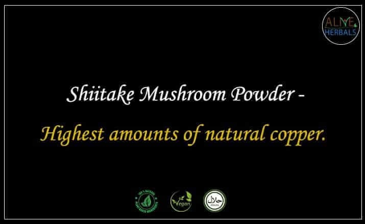Shiitake Mushroom Powder - Buy from the natural health food store