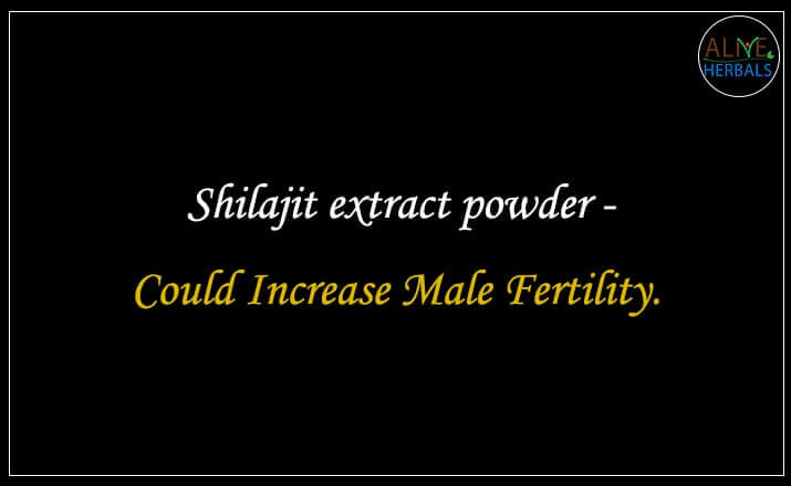 Shilajit extract powder - Buy from the natural herb store