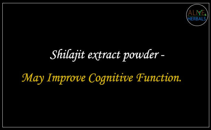 Shilajit extract powder - Buy from the natural health food store