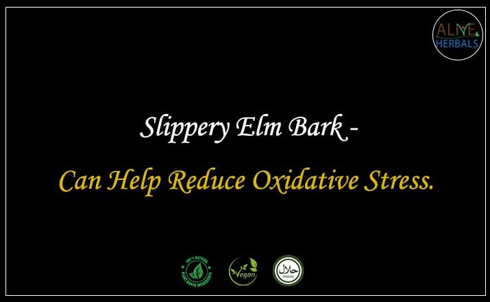 Slippery Elm Bark - Buy from the online herbal store