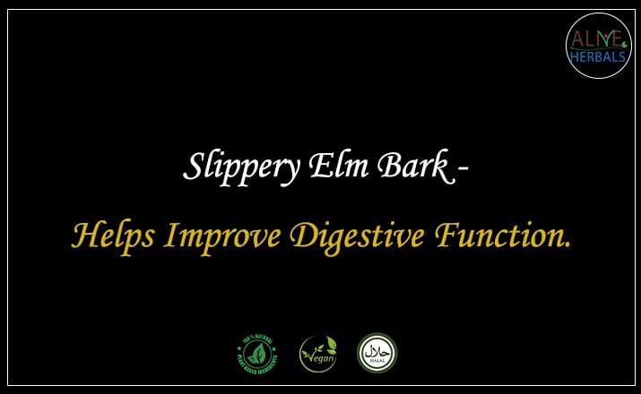 Slippery Elm Bark - Buy from the natural herb store