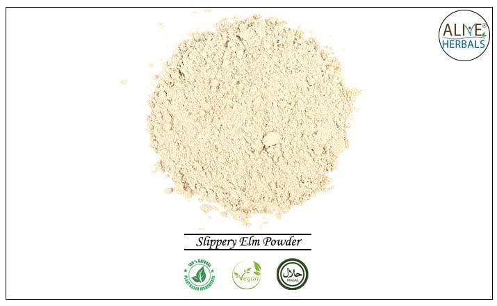 Slippery Elm Powder - Buy from the health food store