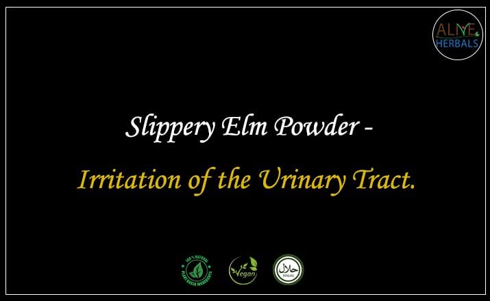 Slippery Elm Powder - Buy from the natural health food store