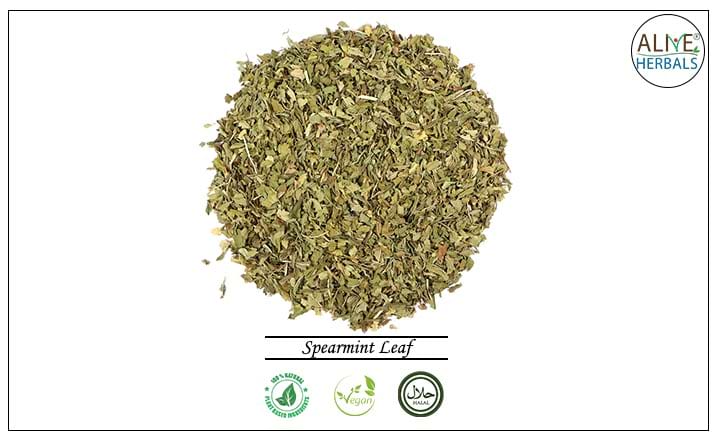 Spearmint Leaf - Buy from the health food store