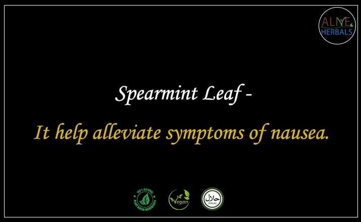 Spearmint Leaf - Buy from the online herbal store