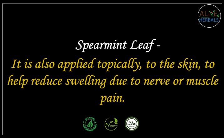 Spearmint Leaf - Buy from the natural health food store