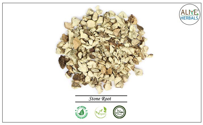 Stone Root - Buy from the health food store