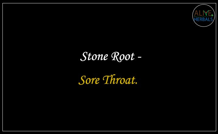 Stone Root - Buy from the online herbal store