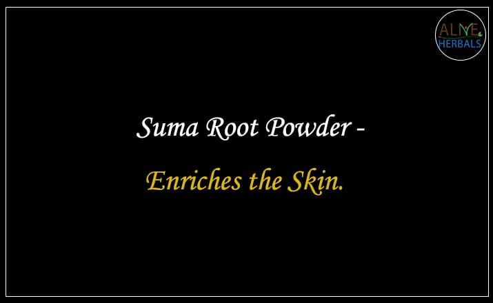 Suma Root Powder - Buy from the natural health food store