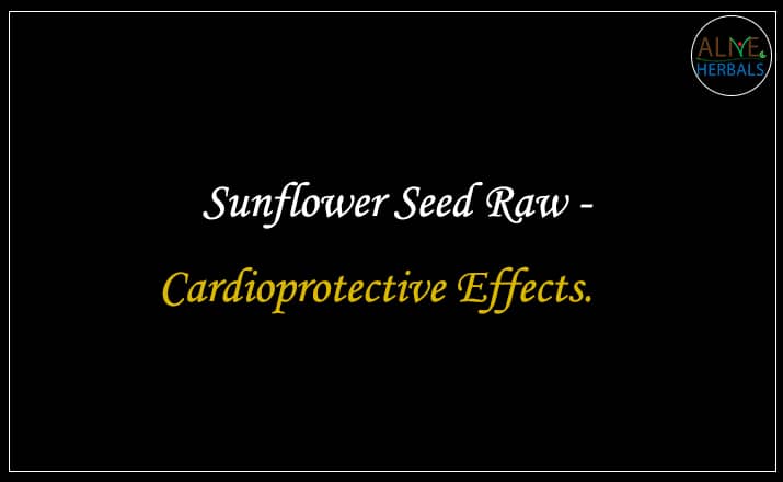 Sunflower Seed Raw - Buy from nuts shop near me