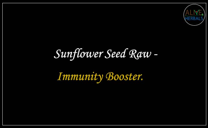 Sunflower Seed Raw - Buy from the Nuts shop 