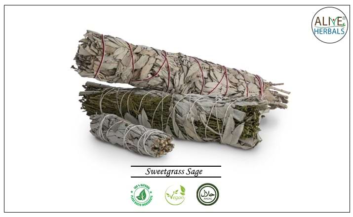 Sweetgrass Sage  - Buy from the health food store