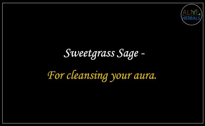Sweetgrass Sage - Buy from the natural health food store