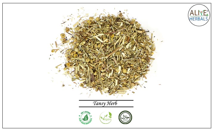 Tansy Herb - Buy from the health food store