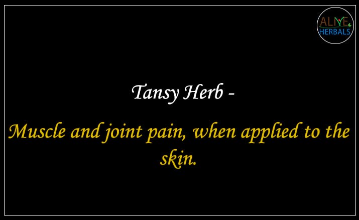 Tansy Herb - Buy from the online herbal store