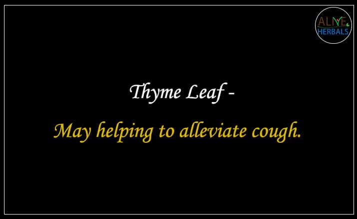 Thyme Leaf - Buy from the online herbal store