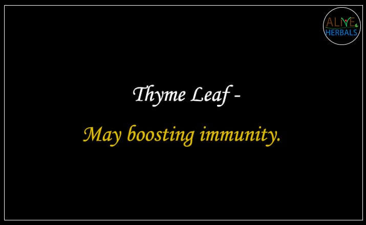 Thyme Leaf - Buy from the natural health food store