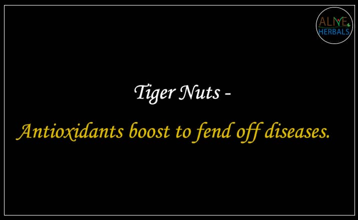 Tiger Nuts - Buy from the nuts shop online 
