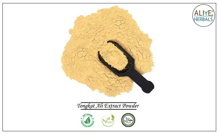 Tongkat Ali Extract Powder - Buy from the health food store
