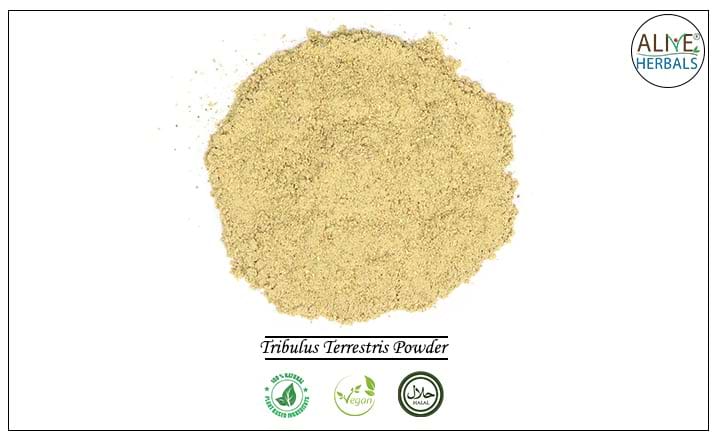 Tribulus Terrestris Powder - Buy from the health food store